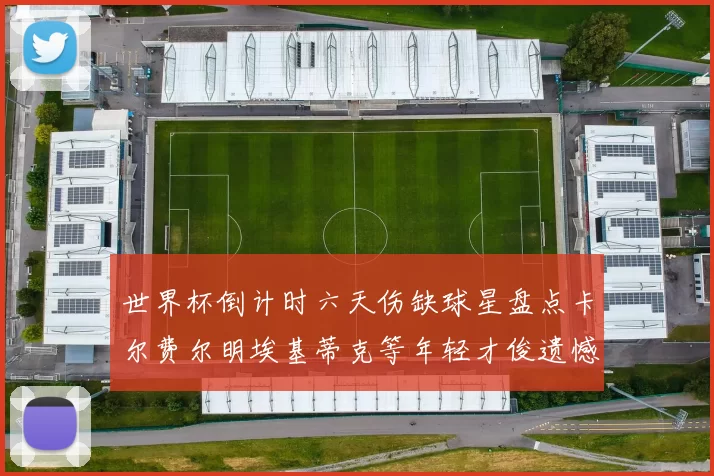 世界杯倒计时六天伤缺球星盘点卡尔费尔明埃基蒂克等年轻才俊遗憾缺席