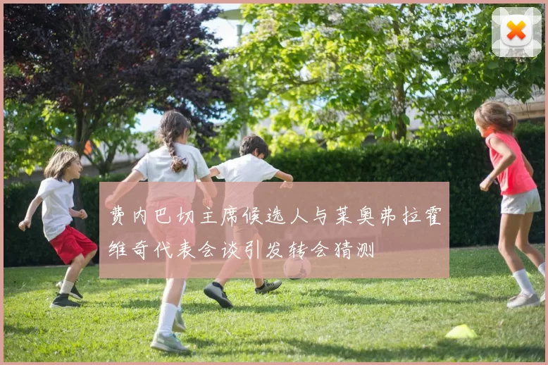 费内巴切主席候选人与莱奥弗拉霍维奇代表会谈引发转会猜测