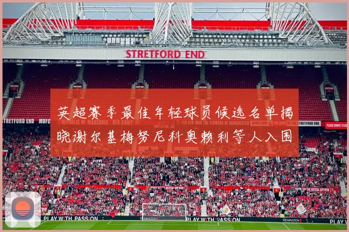 英超赛季最佳年轻球员候选名单揭晓谢尔基梅努尼科奥赖利等人入围