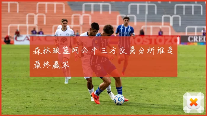 森林狼篮网公牛三方交易分析谁是最终赢家